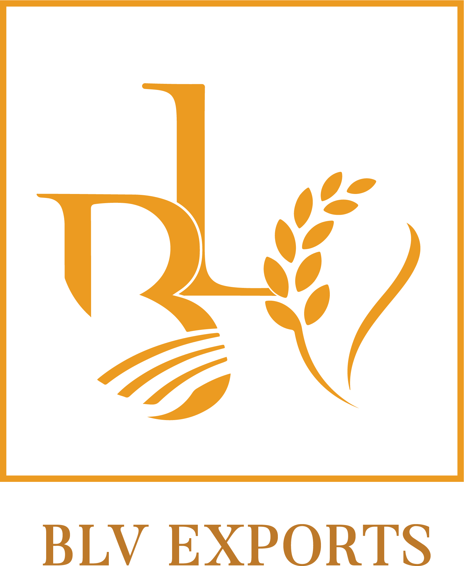 BLV_Logo_transparent